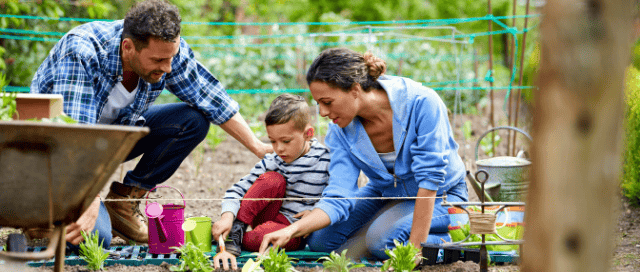 family garden ideas