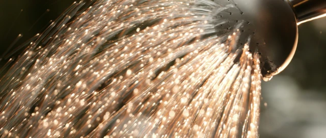 sustainable gardening